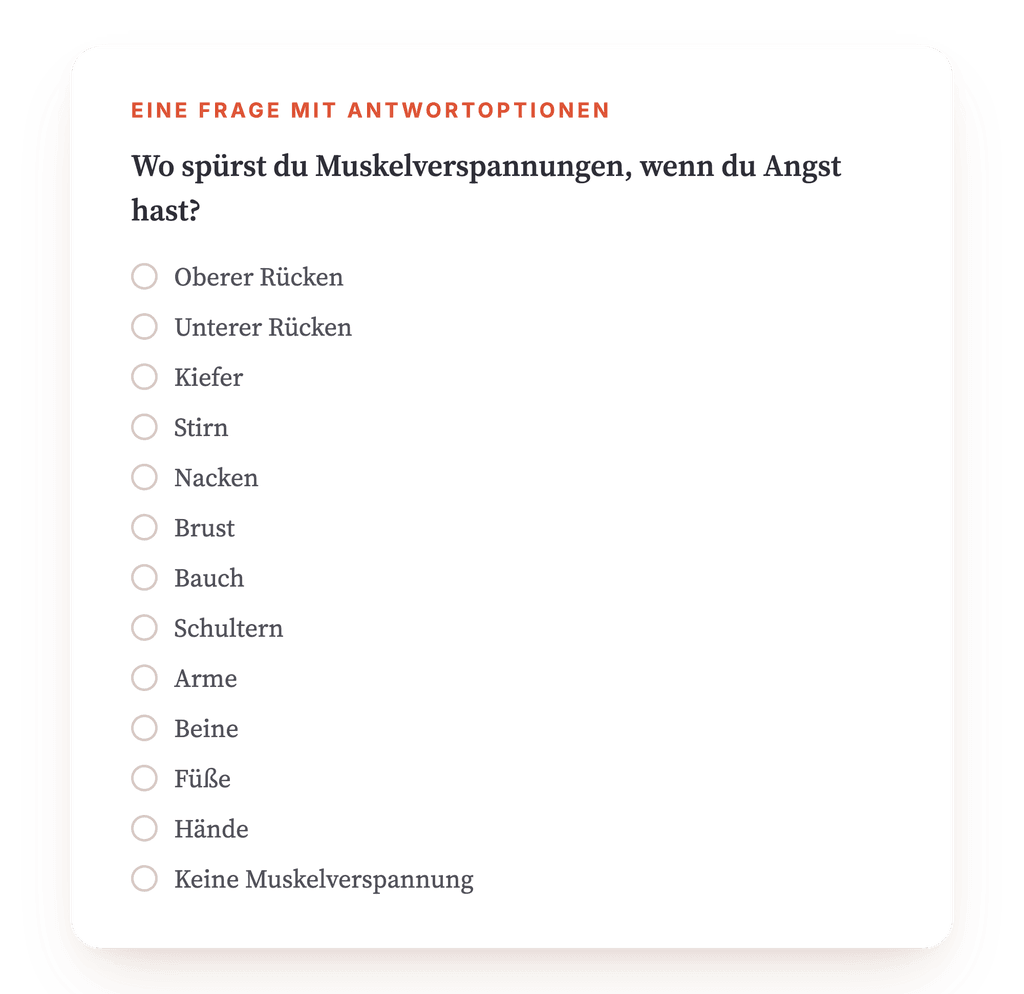 Vorschau, ein Auszug aus einem Schritt des Programms