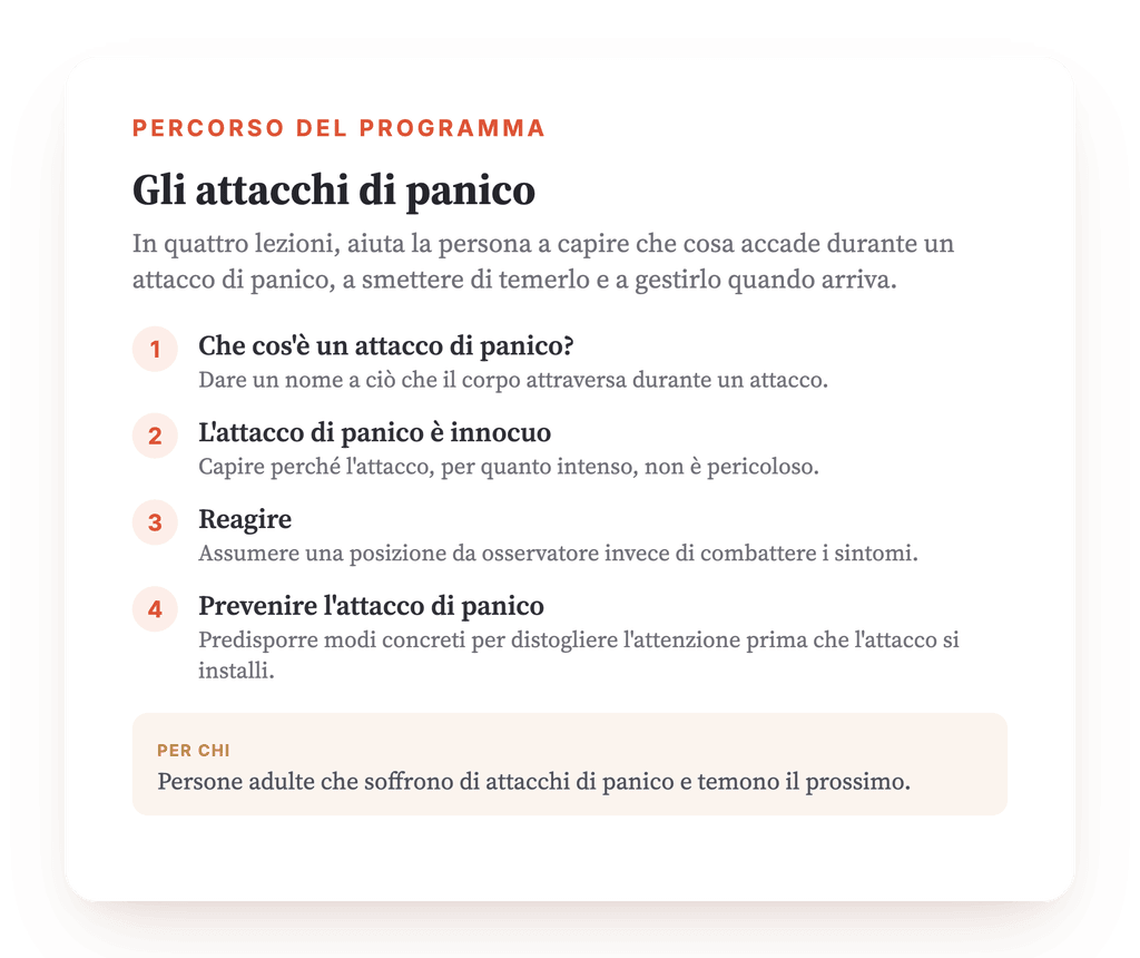 Panoramica del programma · La mappa del programma, lezione per lezione.