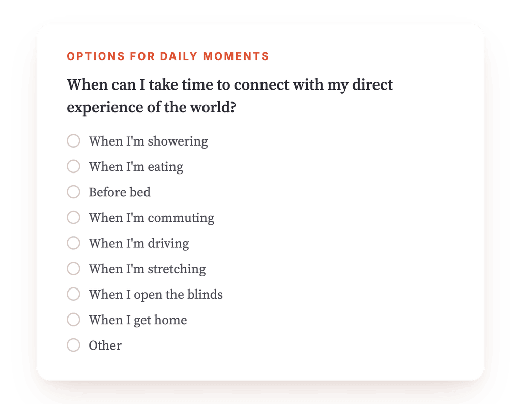Preview, an excerpt from one step of the program