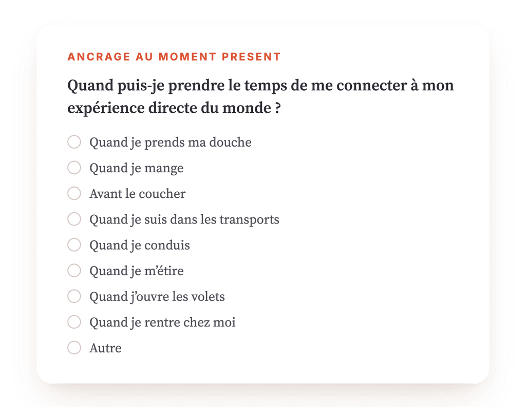 Aperçu, un extrait d'une étape du programme
