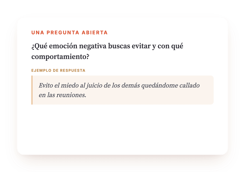 Vista previa, un extracto de una etapa del programa