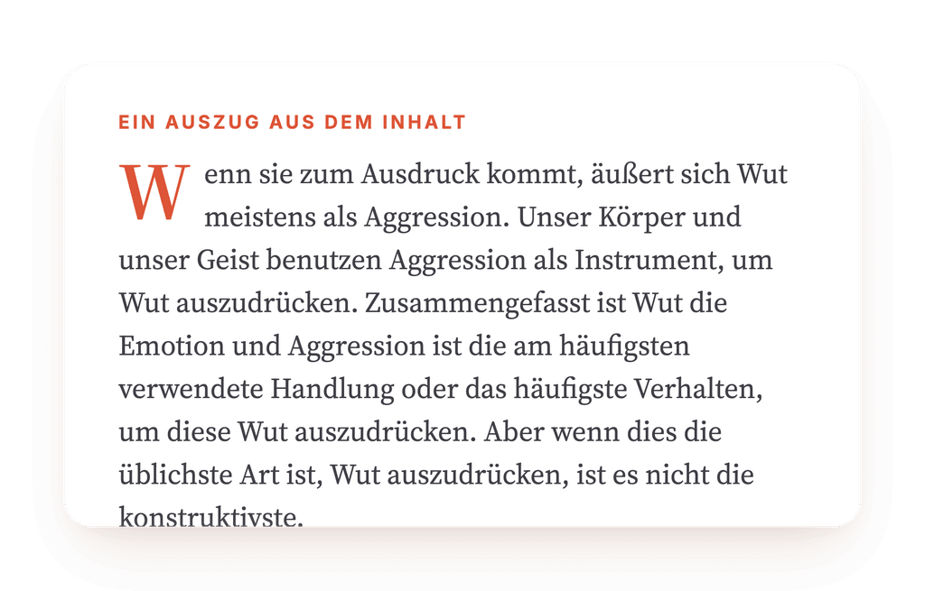 Vorschau, ein Auszug aus einem Schritt des Programms