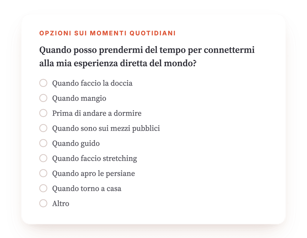 Anteprima, un estratto di una fase del programma