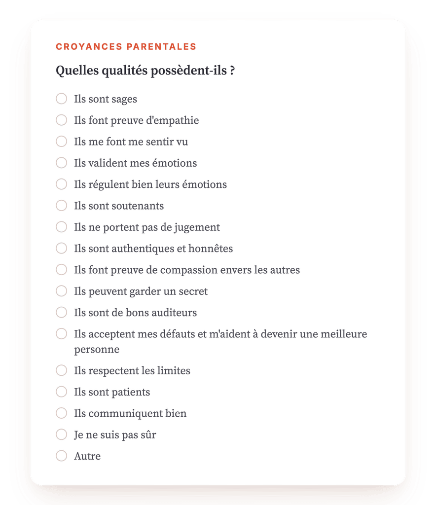 Aperçu, un extrait d'une étape du programme