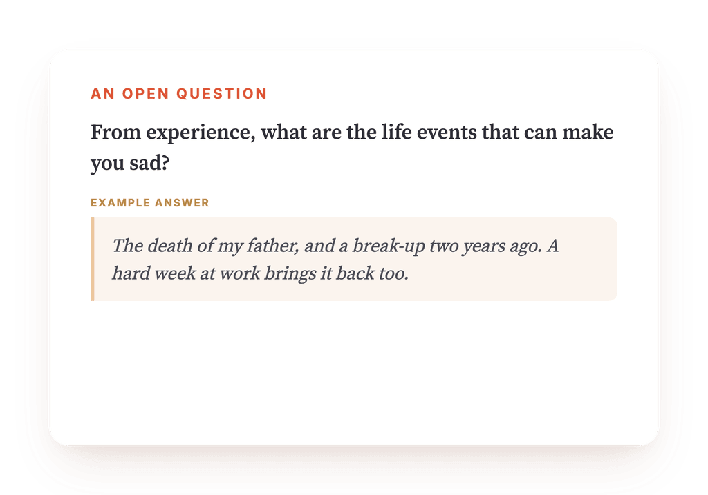 Preview, an excerpt from one step of the program