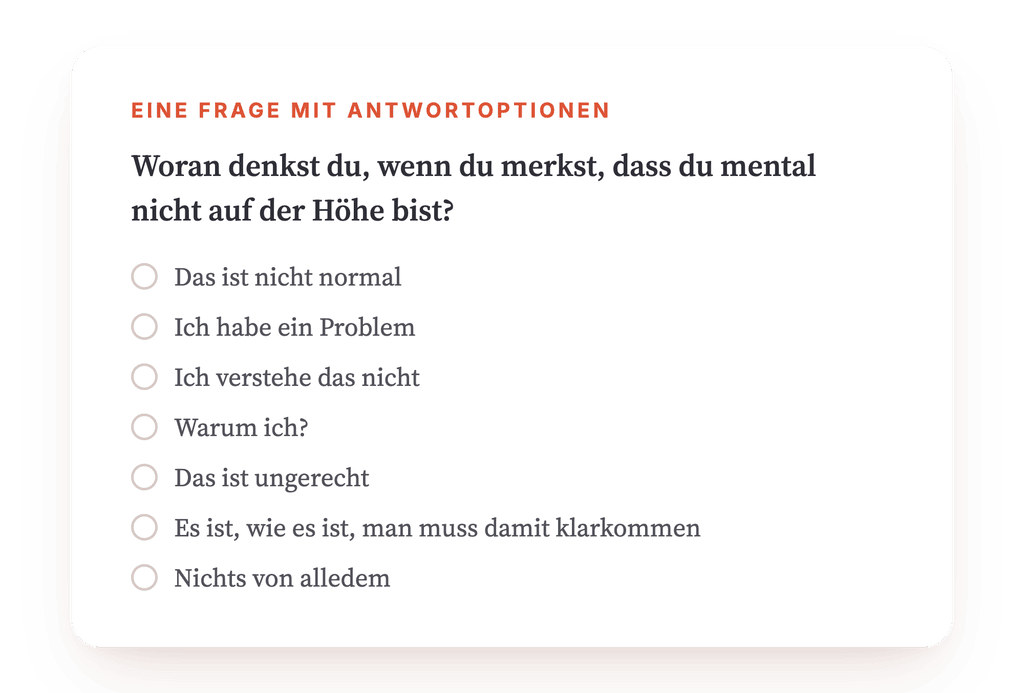 Vorschau, ein Auszug aus einem Schritt des Programms