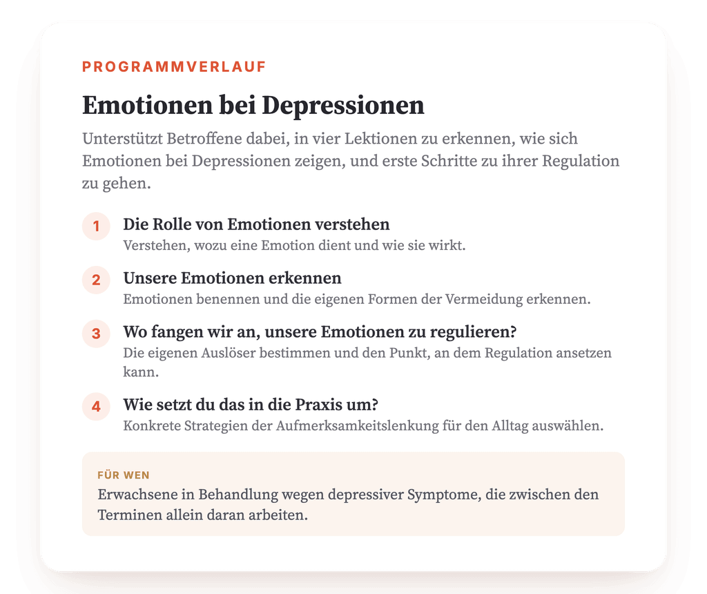 Programmübersicht · Die Übersicht des Programms: seine vier Lektionen in ihrer Reihenfolge.