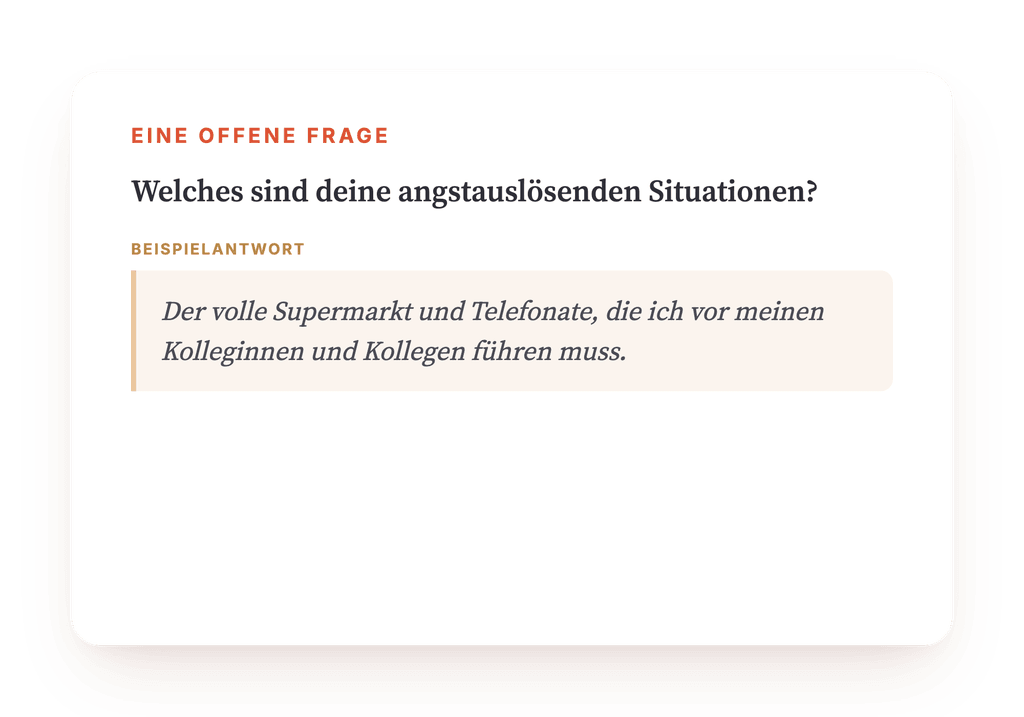Vorschau, ein Auszug aus einem Schritt des Programms