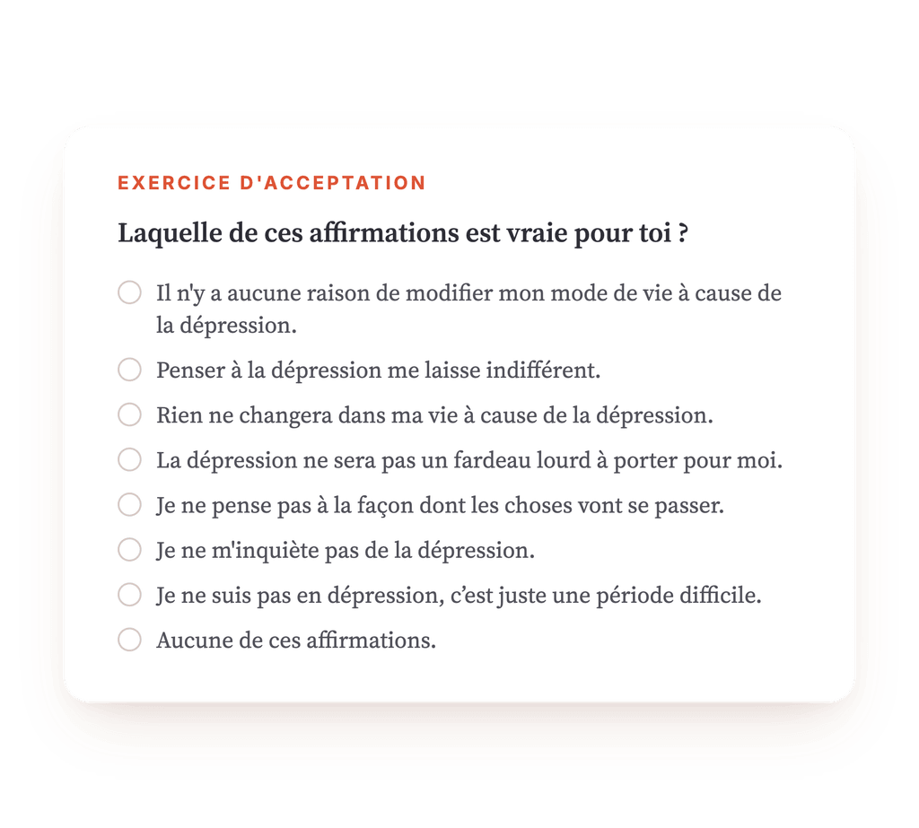 Aperçu, un extrait d'une étape du programme