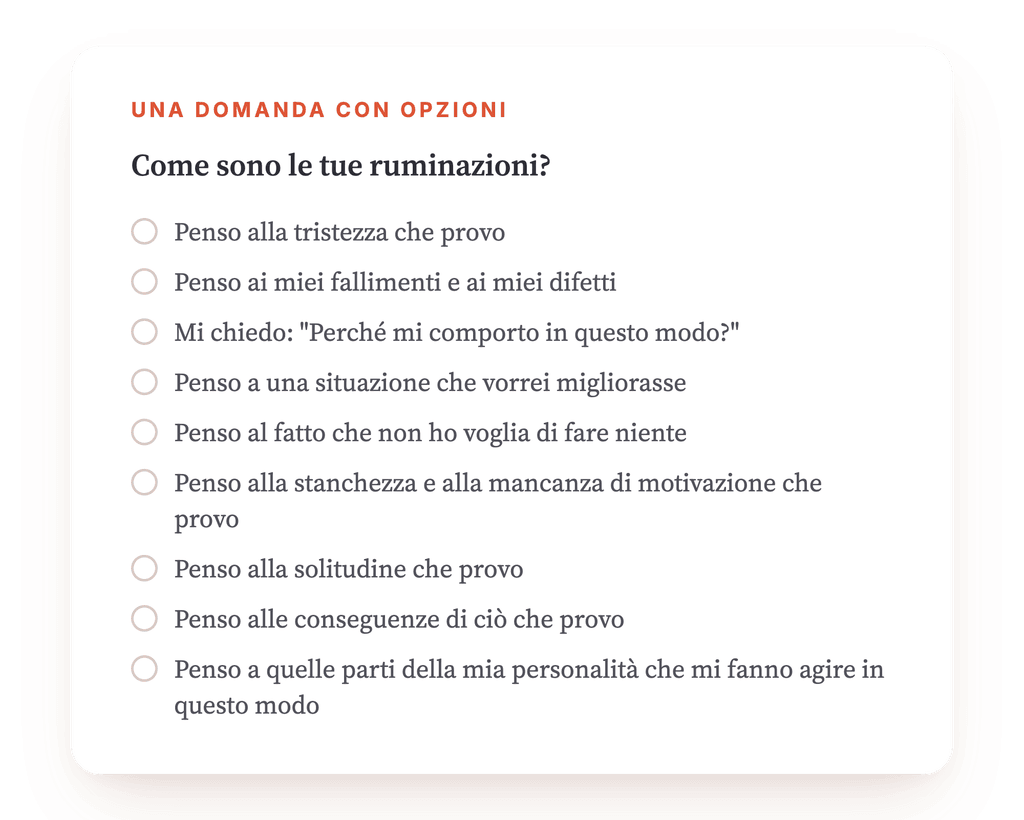 Anteprima, un estratto di una fase del programma