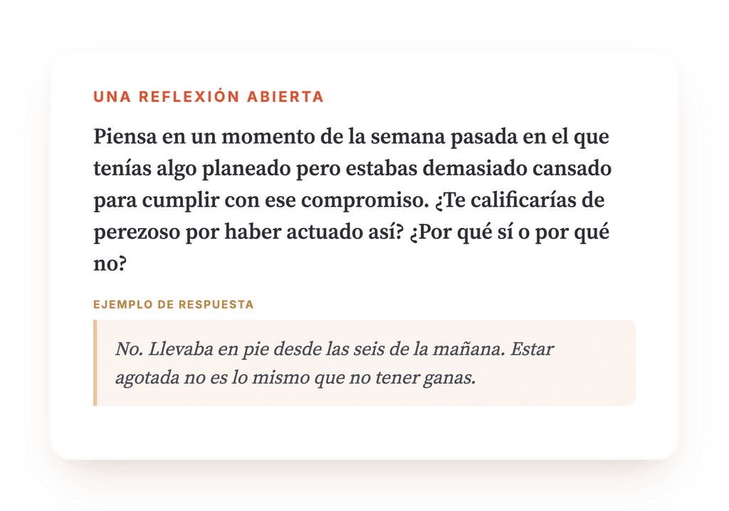 Vista previa, un extracto de una etapa del programa