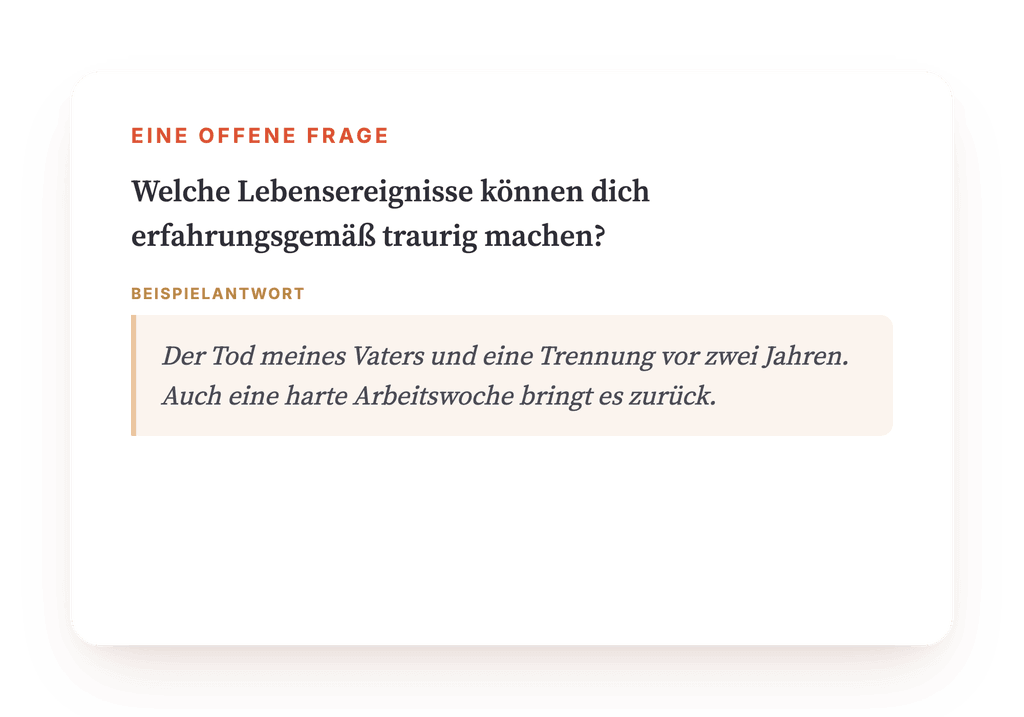 Vorschau, ein Auszug aus einem Schritt des Programms