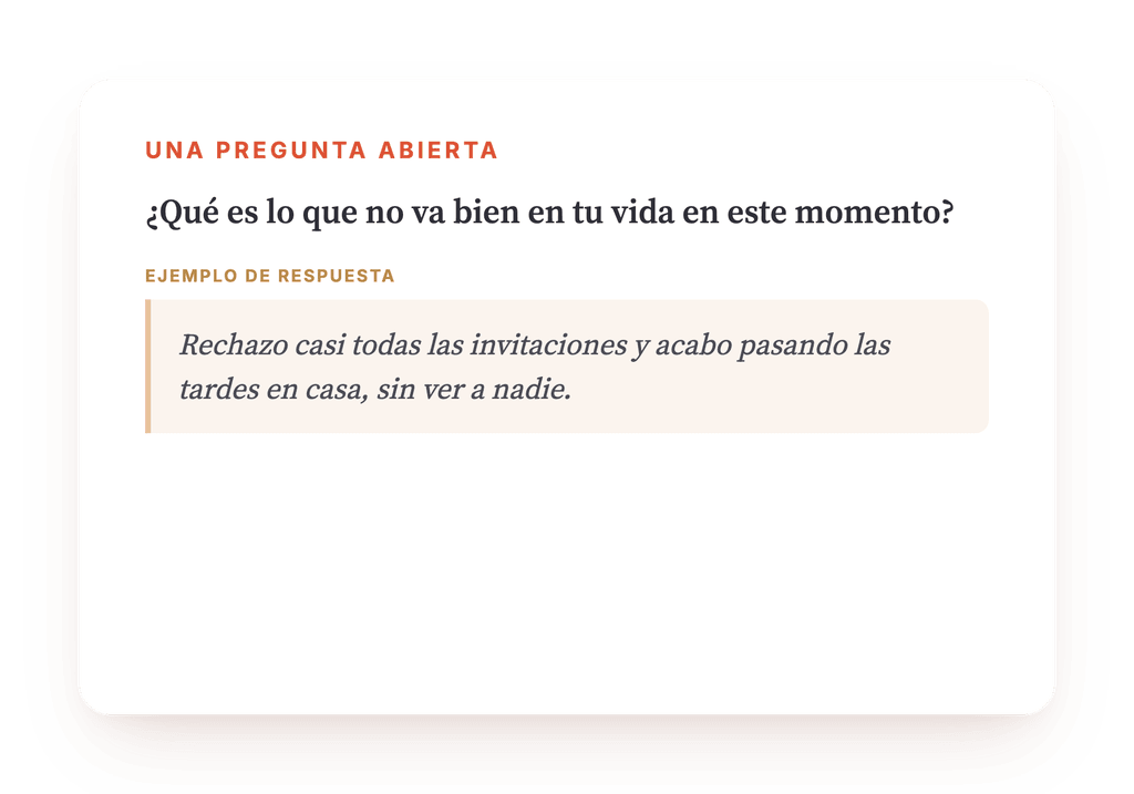 Vista previa, un extracto de una etapa del programa