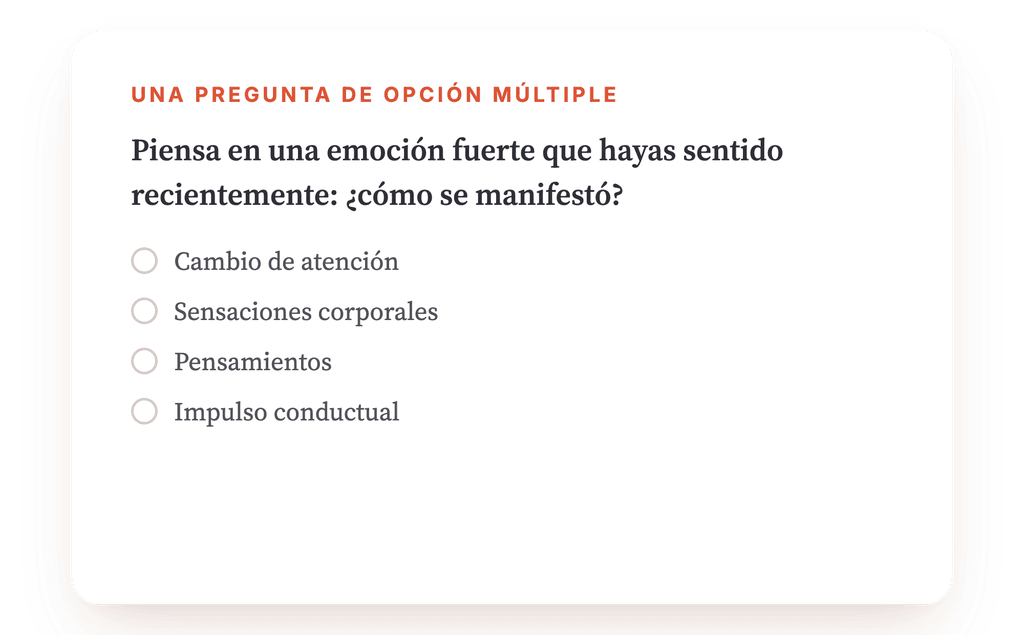 Vista previa, un extracto de una etapa del programa