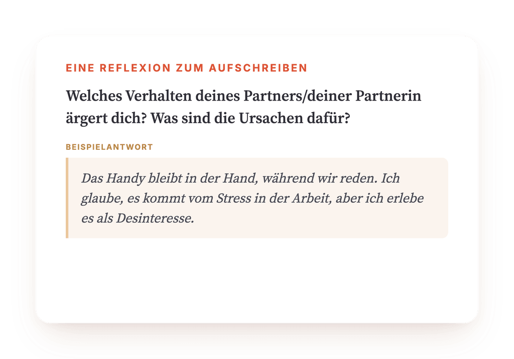 Vorschau, ein Auszug aus einem Schritt des Programms