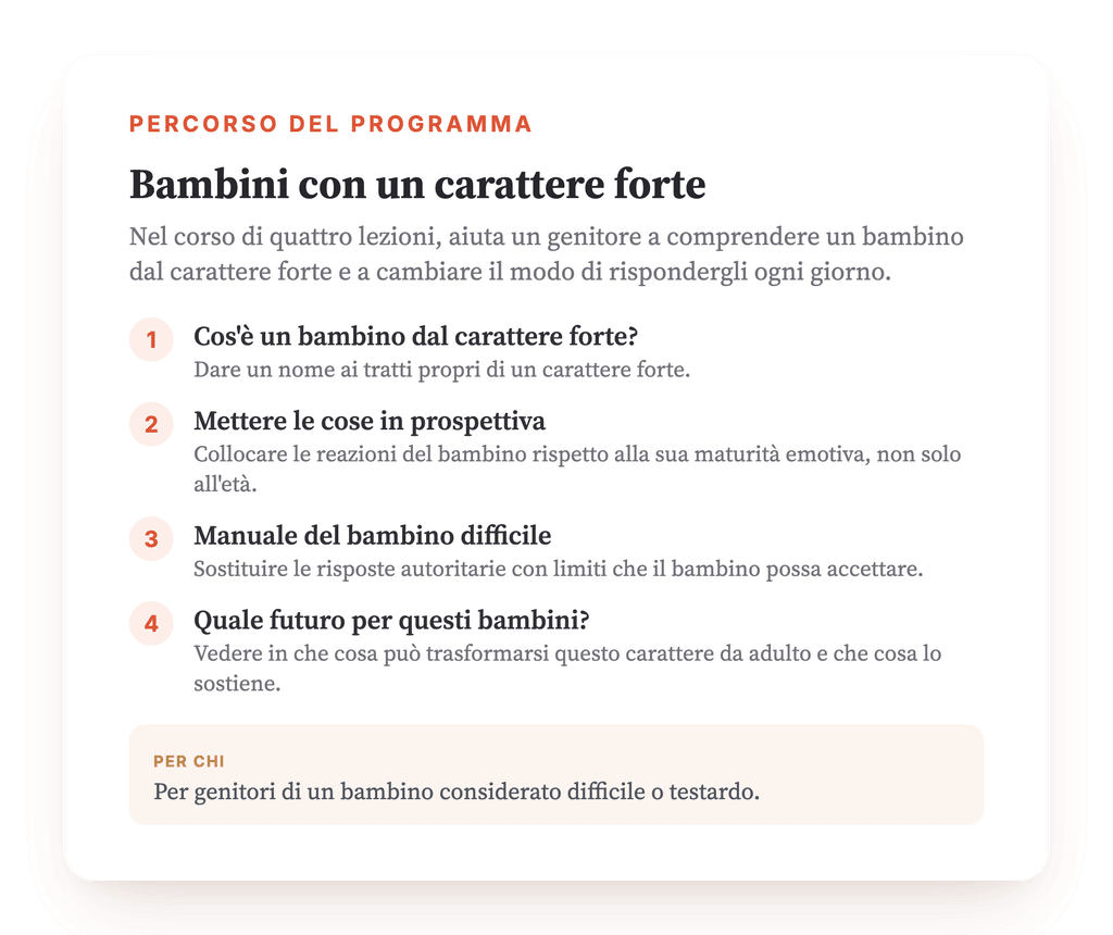 Panoramica del programma · La mappa del programma, lezione dopo lezione.