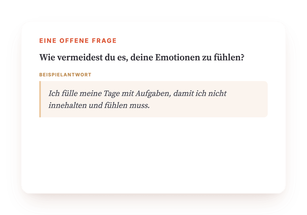 Vorschau, ein Auszug aus einem Schritt des Programms