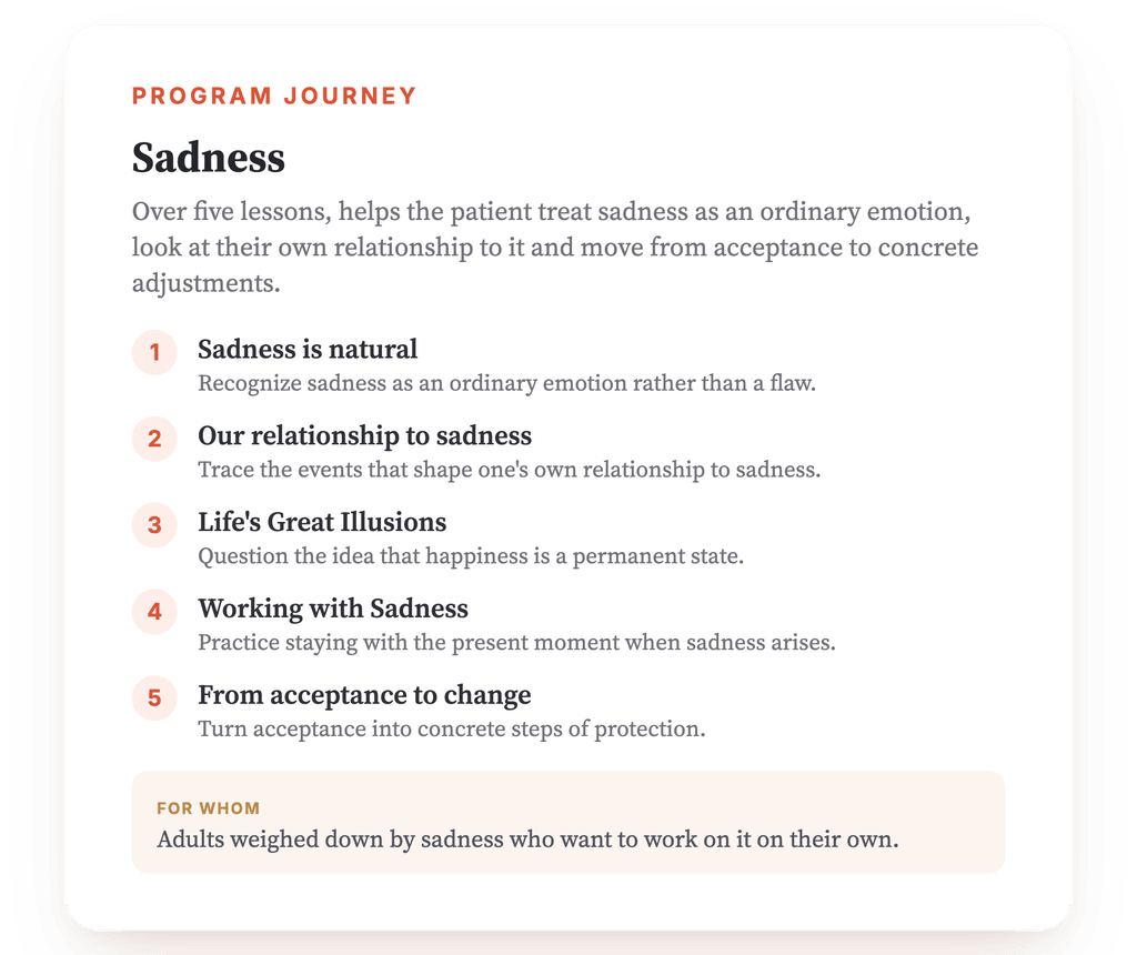 Program overview · The map of the program, lesson by lesson.