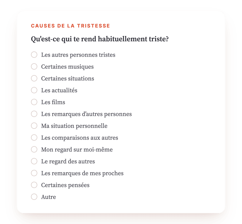 Aperçu, un extrait d'une étape du programme