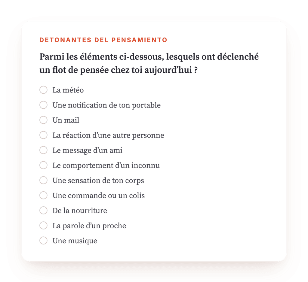 Vista previa, un extracto de una etapa del programa