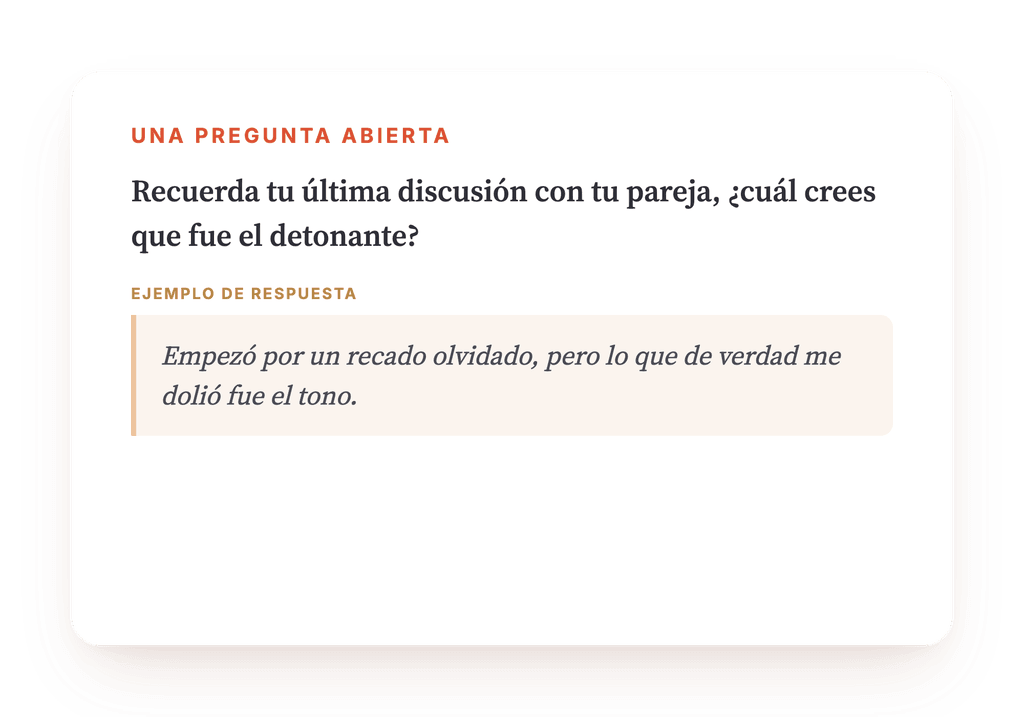 Vista previa, un extracto de una etapa del programa