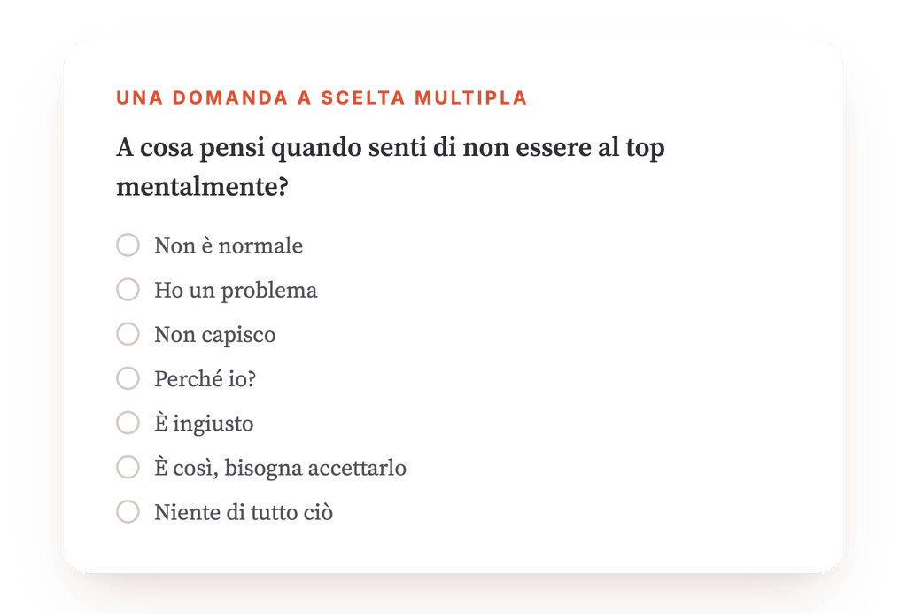 Anteprima, un estratto di una fase del programma