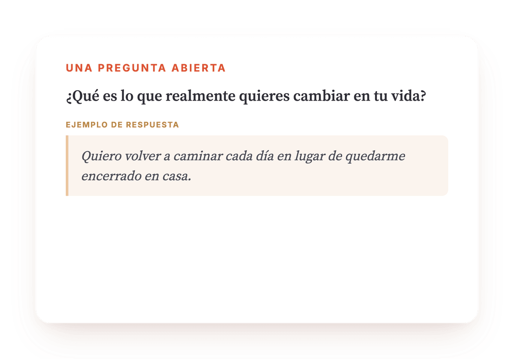 Vista previa, un extracto de una etapa del programa