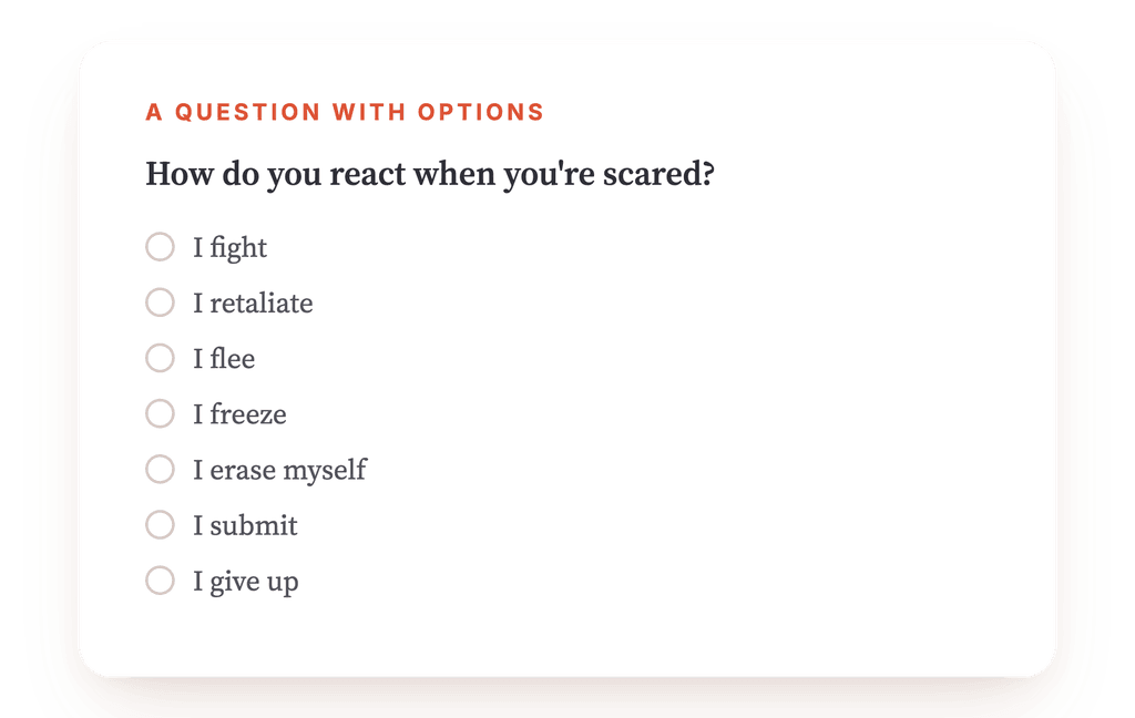 Preview, an excerpt from one step of the program