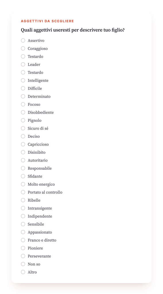Anteprima, un estratto di una fase del programma
