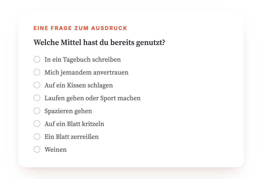 Vorschau, ein Auszug aus einem Schritt des Programms