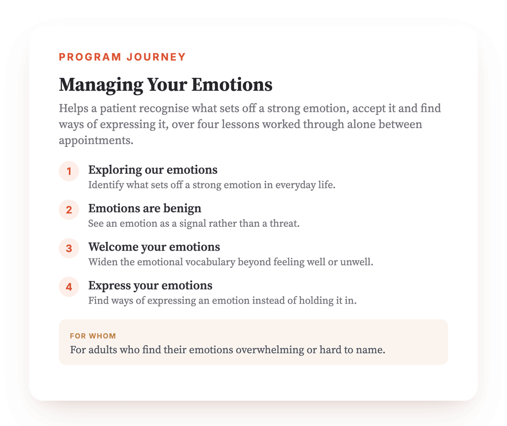Program overview · The program map: how the four lessons follow on from one another.