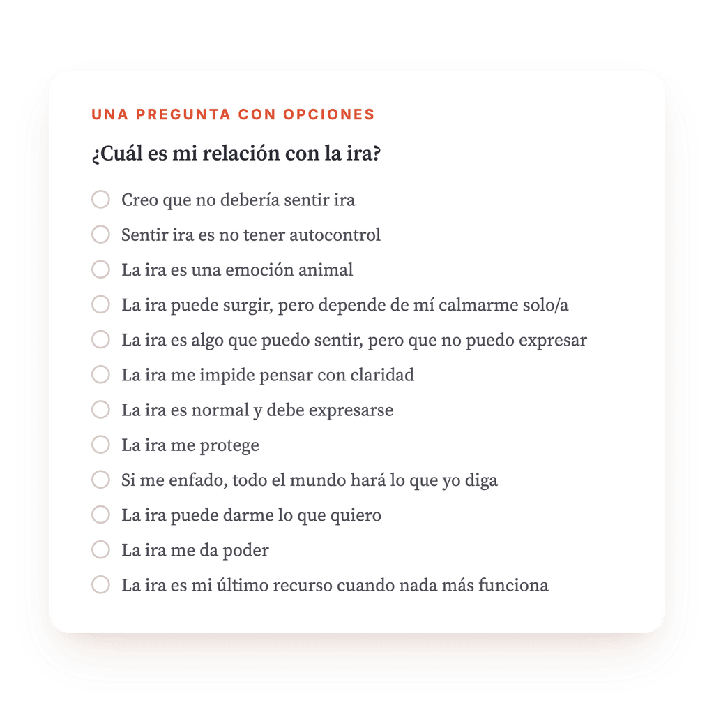 Vista previa, un extracto de una etapa del programa
