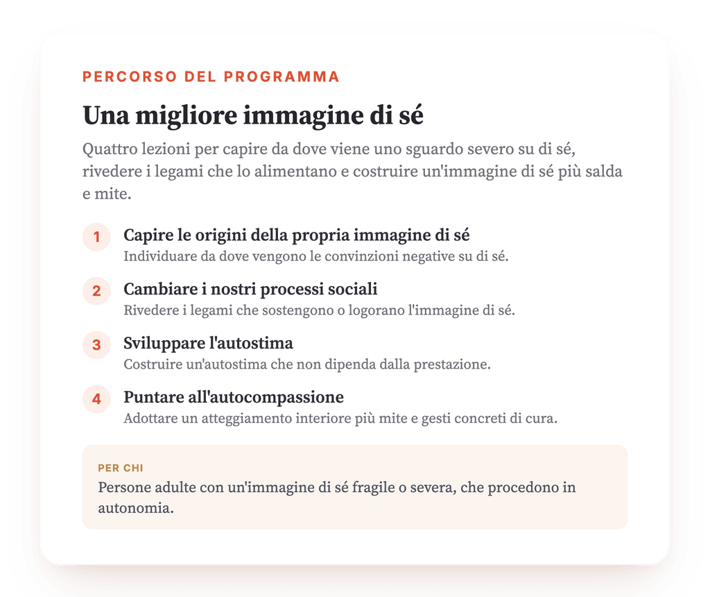 Panoramica del programma · La mappa del programma, lezione per lezione.