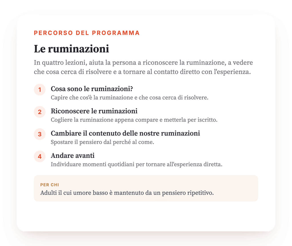 Panoramica del programma · La mappa del programma, lezione per lezione.