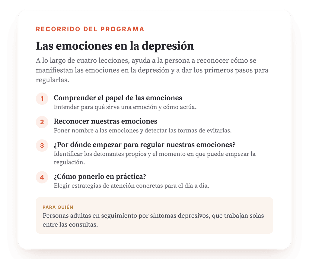 Resumen del programa · El mapa del programa: sus cuatro lecciones, en orden.