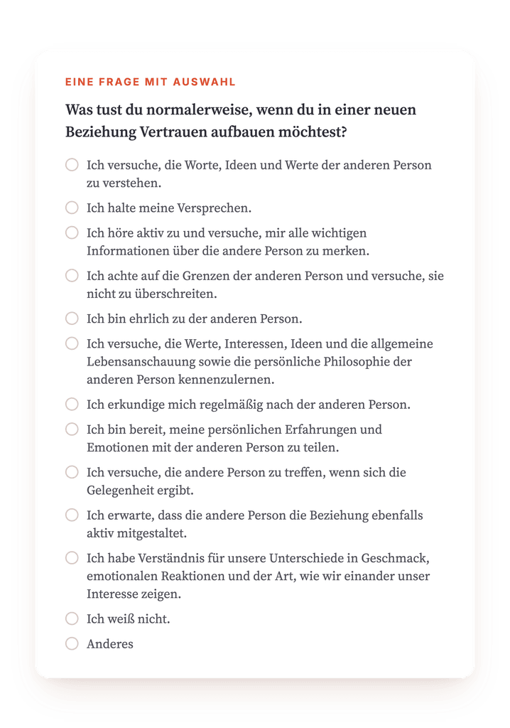 Vorschau, ein Auszug aus einem Schritt des Programms