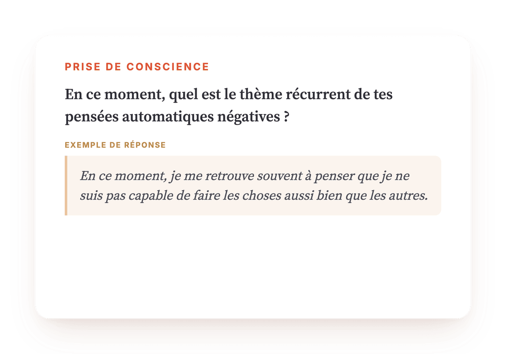 Aperçu, un extrait d'une étape du programme