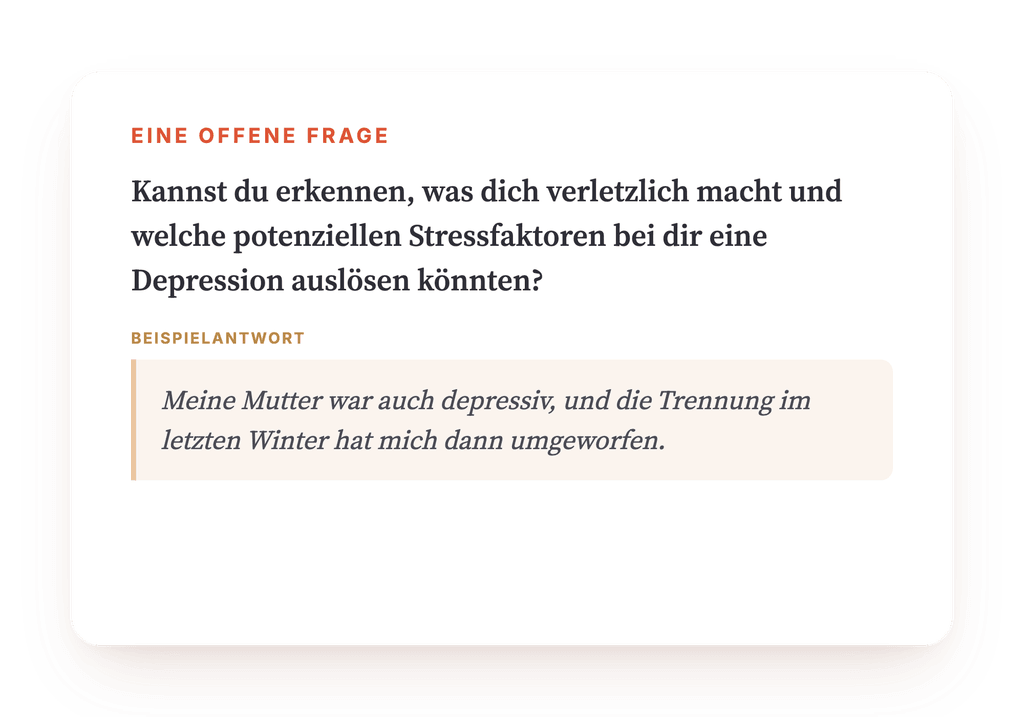 Vorschau, ein Auszug aus einem Schritt des Programms