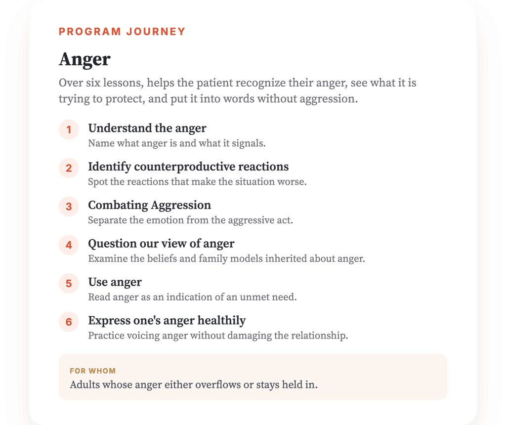 Program overview · The map of the program, lesson by lesson.