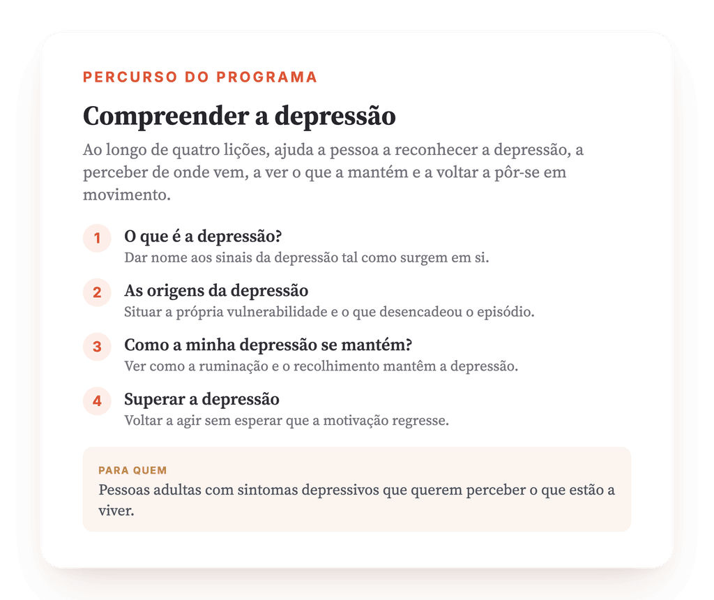 Visão geral do programa · O mapa do programa, lição a lição.