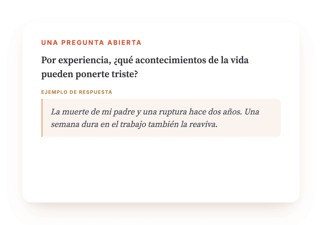 Vista previa, un extracto de una etapa del programa