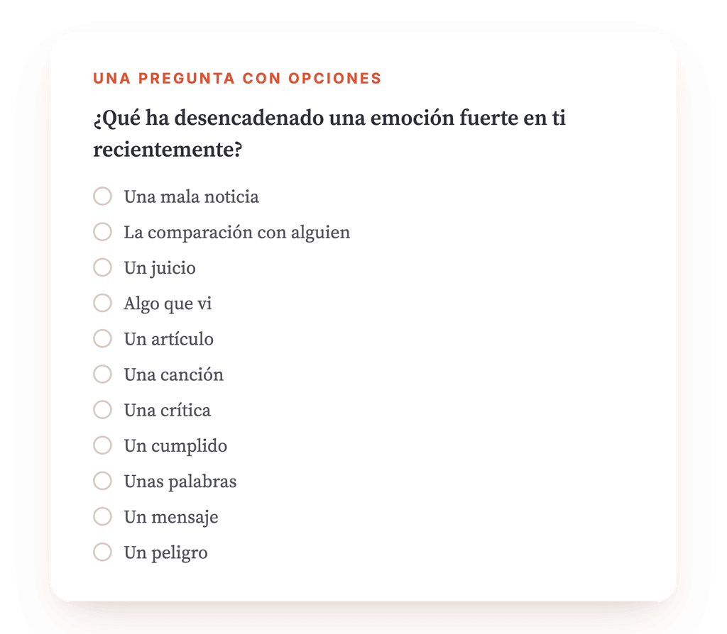Vista previa, un extracto de una etapa del programa