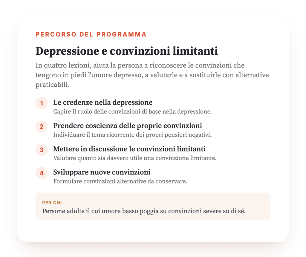 Panoramica del programma · La mappa del programma, lezione per lezione.