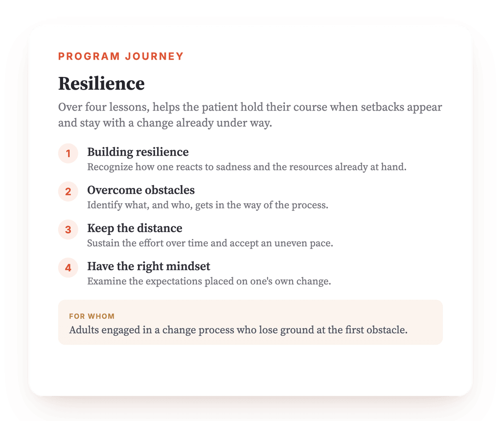 Program overview · The map of the program, lesson by lesson.