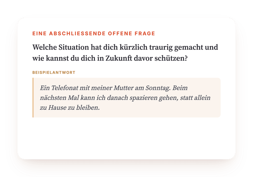 Vorschau, ein Auszug aus einem Schritt des Programms