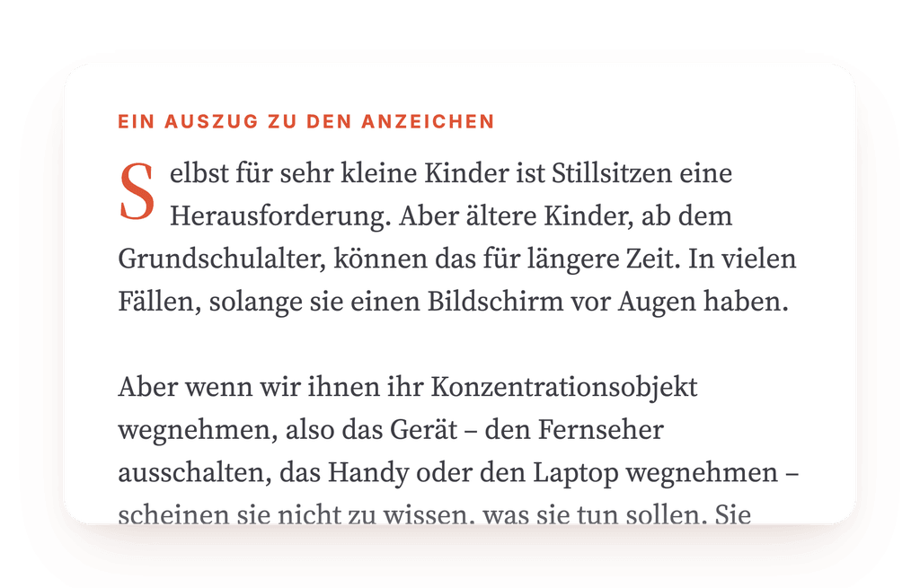 Vorschau, ein Auszug aus einem Schritt des Programms