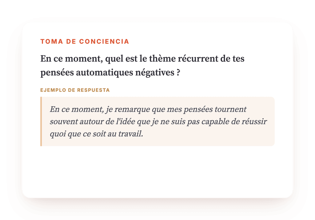 Vista previa, un extracto de una etapa del programa
