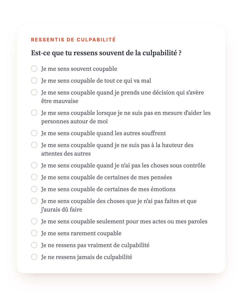Aperçu, un extrait d'une étape du programme