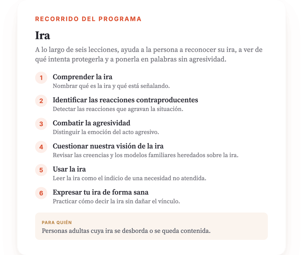 Resumen del programa · El mapa del programa, lección a lección.