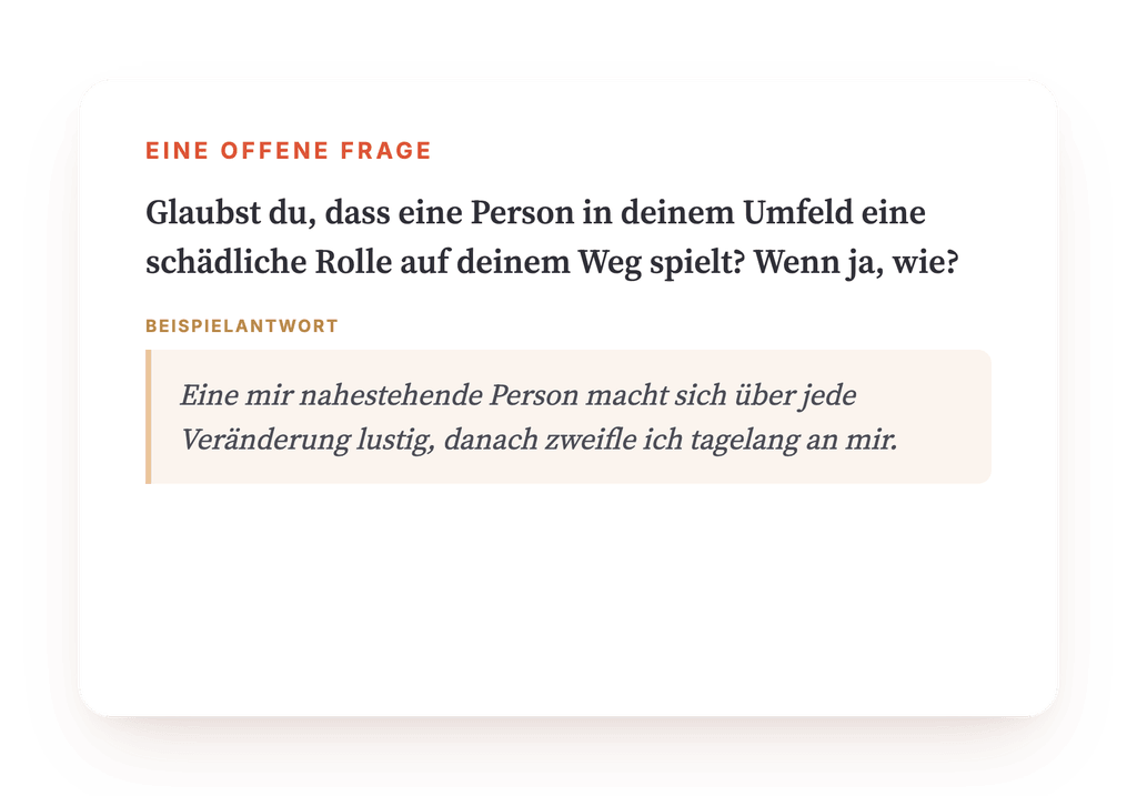 Vorschau, ein Auszug aus einem Schritt des Programms